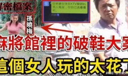 四川麻将馆爆料案件视频,揭秘背后惊人真相