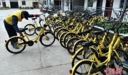 单车爆料视频下载网页版,揭秘便捷下载新方式