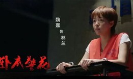 高亚麟的爆料人视频,背后惊人真相曝光