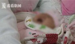 新婚夫妻矛盾爆料视频播放,婚姻生活背后的真实挑战